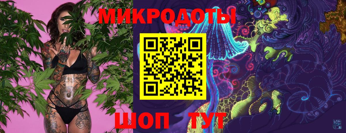 Псилоцибиновые грибы Psilocybine cubensis Уссурийск